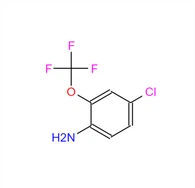 CAS:175205-77-3|4-Хлоро-2-(трифлуорометокси)анилин