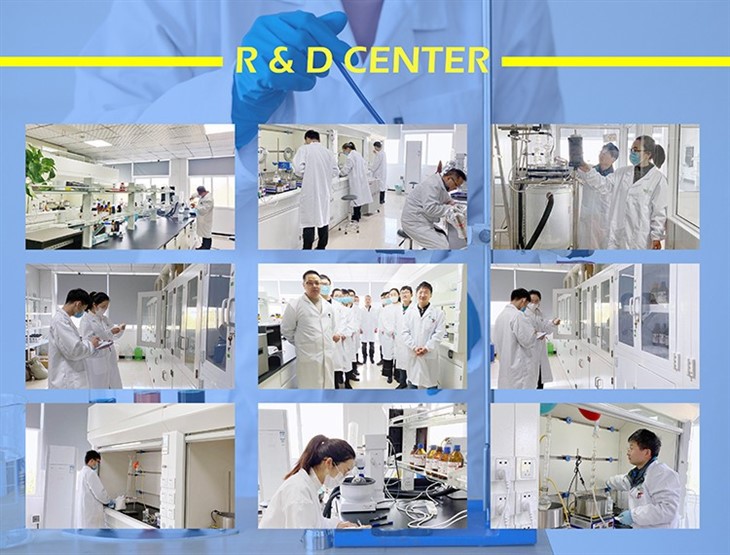 CAS No.915087-32-0 | 4-[(2-Cyanopropan-2-yl)amino]-2-fluoro-N-methylbenzamide