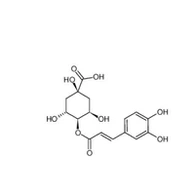 Криптохлорогенна киселина CAS 905-99-7